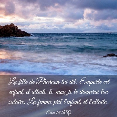 Picture 03 - Exode 2:9 LSG - La fille de Pharaon lui dit: Emporte cet enfant, - Bible Verse Picture