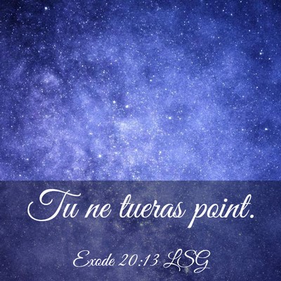 Picture 03 - Exode 20:13 LSG - Tu ne tueras - Bible Verse Picture