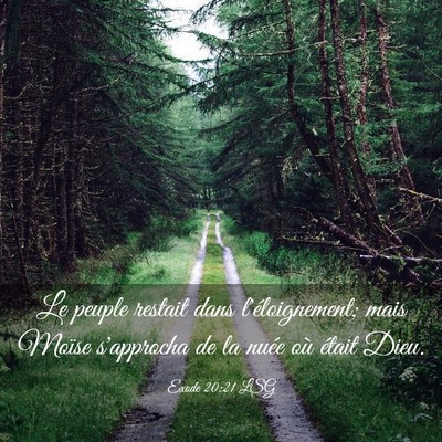 Picture 03 - Exode 20:21 LSG - Le peuple restait dans l'éloignement; mais - Bible Verse Picture