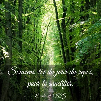 Picture 03 - Exode 20:8 LSG - Souviens-toi du jour du repos, pour le - Bible Verse Picture