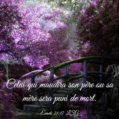 Picture 03 - Exode 21:17 LSG - Celui qui maudira son père ou sa mère sera puni - Bible Verse Picture