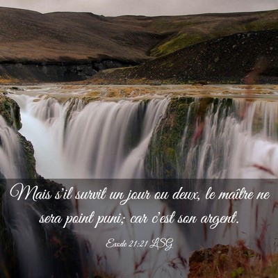 Picture 03 - Exode 21:21 LSG - Mais s'il survit un jour ou deux, le maître ne - Bible Verse Picture