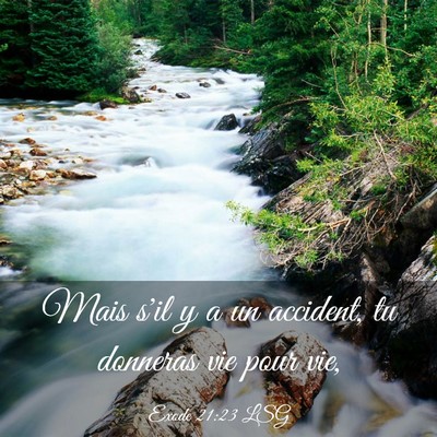 Picture 03 - Exode 21:23 LSG - Mais s'il y a un accident, tu donneras vie pour - Bible Verse Picture
