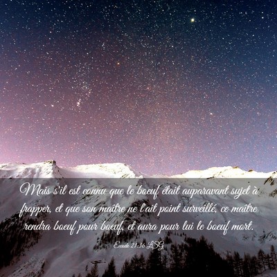 Picture 03 - Exode 21:36 LSG - Mais s'il est connu que le boeuf était - Bible Verse Picture