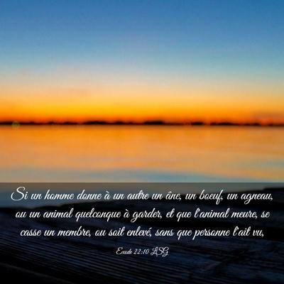 Picture 03 - Exode 22:10 LSG - Si un homme donne à un autre un âne, un boeuf, - Bible Verse Picture