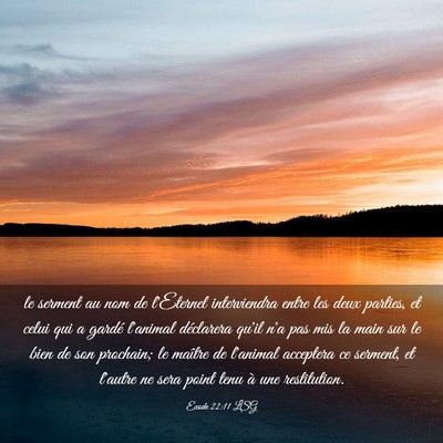 Picture 03 - Exode 22:11 LSG - le serment au nom de l'Eternel interviendra entre - Bible Verse Picture