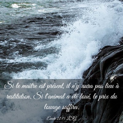 Picture 03 - Exode 22:15 LSG - Si le maître est présent, il n'y aura pas lieu - Bible Verse Picture