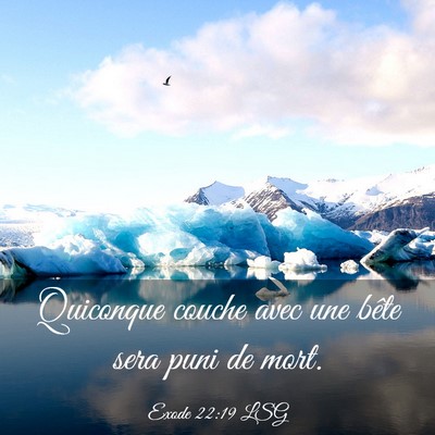 Picture 03 - Exode 22:19 LSG - Quiconque couche avec une bête sera puni de - Bible Verse Picture