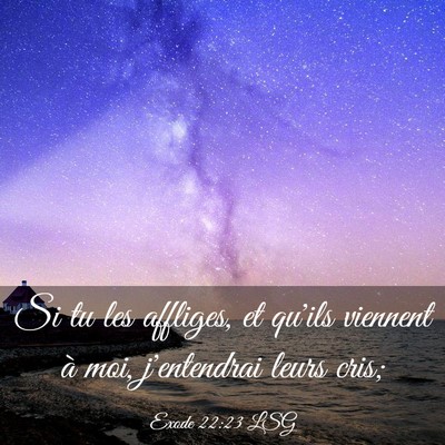 Picture 03 - Exode 22:23 LSG - Si tu les affliges, et qu'ils viennent à moi, - Bible Verse Picture