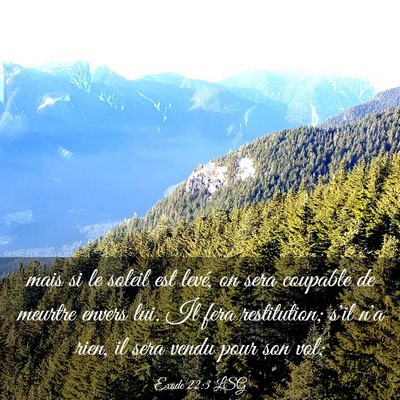 Picture 03 - Exode 22:3 LSG - mais si le soleil est levé, on sera coupable de - Bible Verse Picture