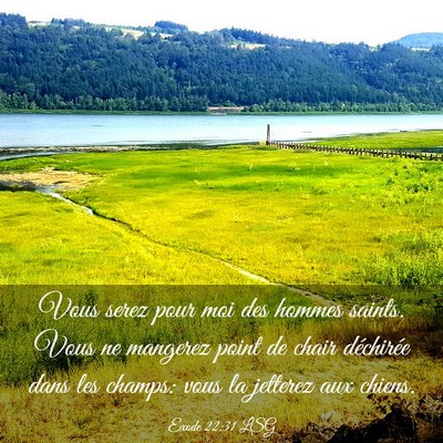 Picture 03 - Exode 22:31 LSG - Vous serez pour moi des hommes saints. Vous ne - Bible Verse Picture