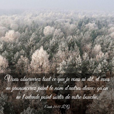 Picture 03 - Exode 23:13 LSG - Vous observerez tout ce que je vous ai dit, et - Bible Verse Picture