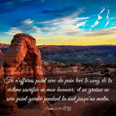 Picture 03 - Exode 23:18 LSG - Tu n'offriras point avec du pain levé le sang de - Bible Verse Picture
