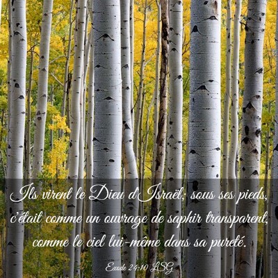 Picture 03 - Exode 24:10 LSG - Ils virent le Dieu d'Israël; sous ses pieds, - Bible Verse Picture