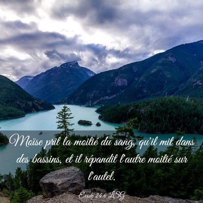 Picture 03 - Exode 24:6 LSG - Moïse prit la moitié du sang, qu'il mit dans - Bible Verse Picture