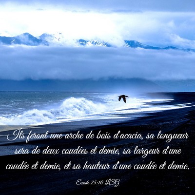 Picture 03 - Exode 25:10 LSG - Ils feront une arche de bois d'acacia, sa - Bible Verse Picture