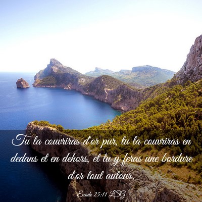 Picture 03 - Exode 25:11 LSG - Tu la couvriras d'or pur, tu la couvriras en - Bible Verse Picture
