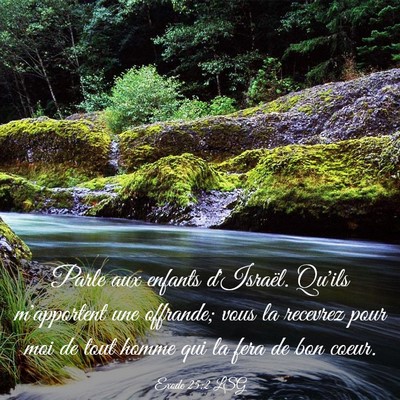 Picture 03 - Exode 25:2 LSG - Parle aux enfants d'Israël. Qu'ils m'apportent - Bible Verse Picture