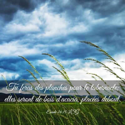 Picture 03 - Exode 26:15 LSG - Tu feras des planches pour le tabernacle; elles - Bible Verse Picture