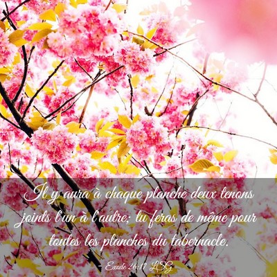 Picture 03 - Exode 26:17 LSG - Il y aura à chaque planche deux tenons joints - Bible Verse Picture