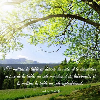 Picture 03 - Exode 26:35 LSG - Tu mettras la table en dehors du voile, et le - Bible Verse Picture
