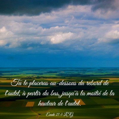 Picture 03 - Exode 27:5 LSG - Tu le placeras au-dessous du rebord de l'autel, - Bible Verse Picture