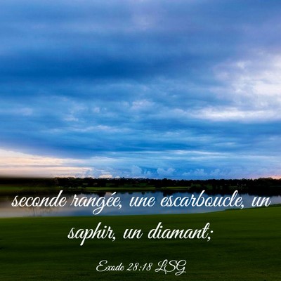 Picture 03 - Exode 28:18 LSG - seconde rangée, une escarboucle, un saphir, un - Bible Verse Picture