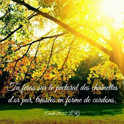 Picture 03 - Exode 28:22 LSG - Tu feras sur le pectoral des chaînettes d'or - Bible Verse Picture