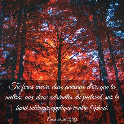Picture 03 - Exode 28:26 LSG - Tu feras encore deux anneaux d'or, que tu mettras - Bible Verse Picture