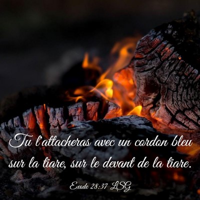 Picture 03 - Exode 28:37 LSG - Tu l'attacheras avec un cordon bleu sur la tiare, - Bible Verse Picture
