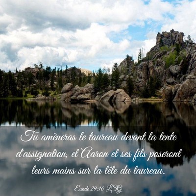 Picture 03 - Exode 29:10 LSG - Tu amèneras le taureau devant la tente - Bible Verse Picture