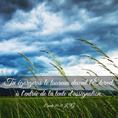 Picture 03 - Exode 29:11 LSG - Tu égorgeras le taureau devant l'Eternel, à - Bible Verse Picture
