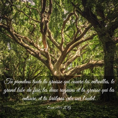 Picture 03 - Exode 29:13 LSG - Tu prendras toute la graisse qui couvre les - Bible Verse Picture