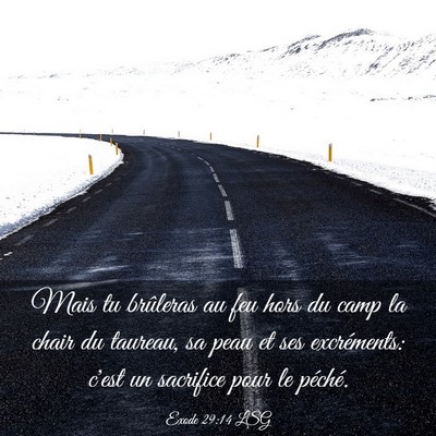 Picture 03 - Exode 29:14 LSG - Mais tu brûleras au feu hors du camp la chair du - Bible Verse Picture