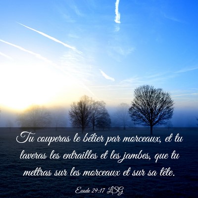Picture 03 - Exode 29:17 LSG - Tu couperas le bélier par morceaux, et tu - Bible Verse Picture