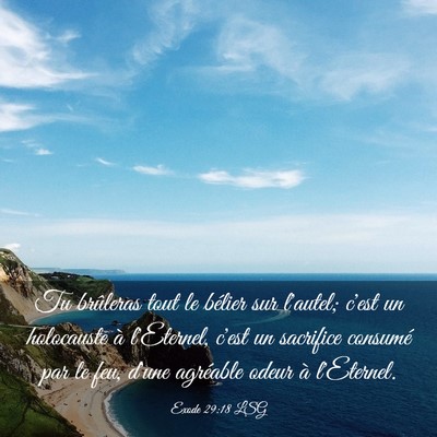 Picture 03 - Exode 29:18 LSG - Tu brûleras tout le bélier sur l'autel; c'est - Bible Verse Picture