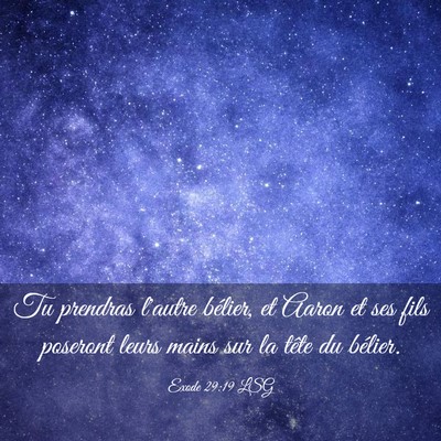 Picture 03 - Exode 29:19 LSG - Tu prendras l'autre bélier, et Aaron et ses fils - Bible Verse Picture