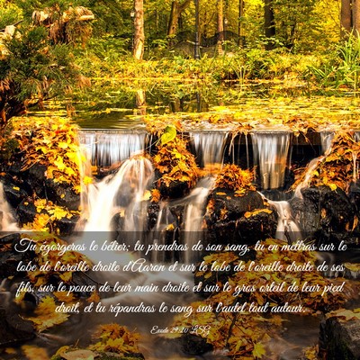 Picture 03 - Exode 29:20 LSG - Tu égorgeras le bélier; tu prendras de son - Bible Verse Picture