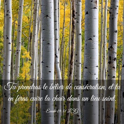 Picture 03 - Exode 29:31 LSG - Tu prendras le bélier de consécration, et tu en - Bible Verse Picture