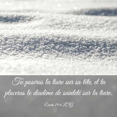 Picture 03 - Exode 29:6 LSG - Tu poseras la tiare sur sa tête, et tu placeras - Bible Verse Picture