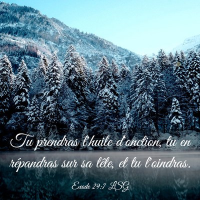 Picture 03 - Exode 29:7 LSG - Tu prendras l'huile d'onction, tu en répandras - Bible Verse Picture