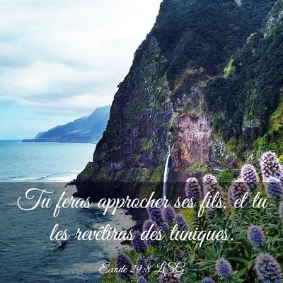 Picture 03 - Exode 29:8 LSG - Tu feras approcher ses fils, et tu les revêtiras - Bible Verse Picture