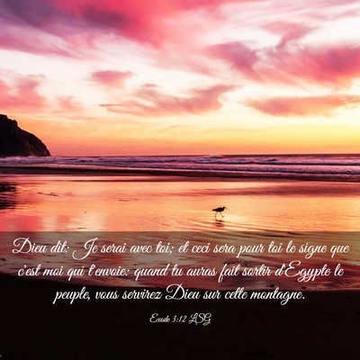 Picture 03 - Exode 3:12 LSG - Dieu dit: Je serai avec toi; et ceci sera pour - Bible Verse Picture