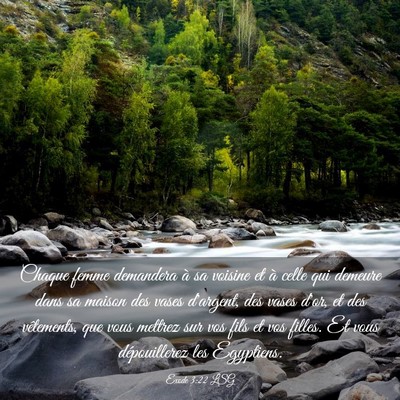 Picture 03 - Exode 3:22 LSG - Chaque femme demandera à sa voisine et à celle - Bible Verse Picture