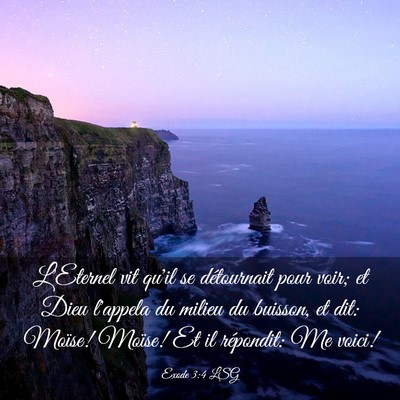 Picture 03 - Exode 3:4 LSG - L'Eternel vit qu'il se détournait pour voir; et - Bible Verse Picture