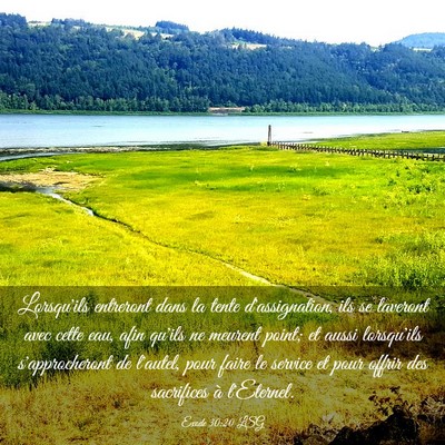 Picture 03 - Exode 30:20 LSG - Lorsqu'ils entreront dans la tente d'assignation, - Bible Verse Picture