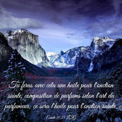 Picture 03 - Exode 30:25 LSG - Tu feras avec cela une huile pour l'onction - Bible Verse Picture