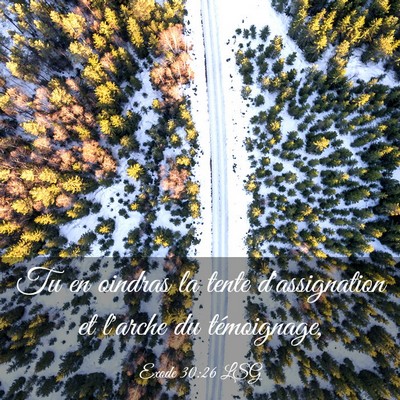 Picture 03 - Exode 30:26 LSG - Tu en oindras la tente d'assignation et l'arche - Bible Verse Picture