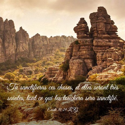 Picture 03 - Exode 30:29 LSG - Tu sanctifieras ces choses, et elles seront très - Bible Verse Picture