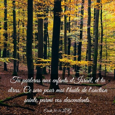 Picture 03 - Exode 30:31 LSG - Tu parleras aux enfants d'Israël, et tu diras: - Bible Verse Picture